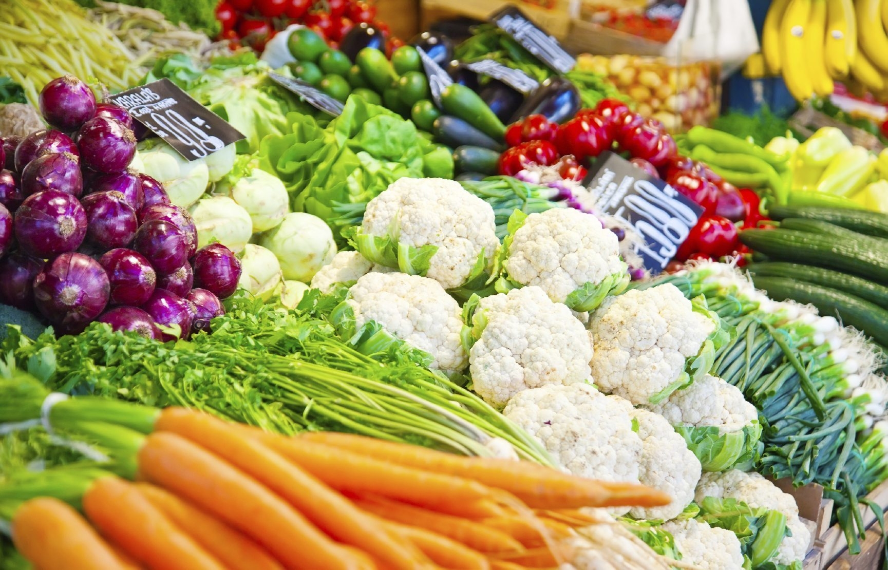 online-grocery-store_1544218100uwbYqt.jpeg